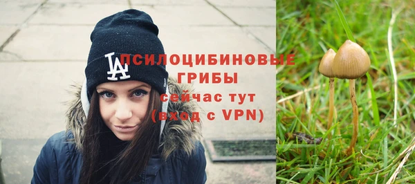 стафф Арсеньев